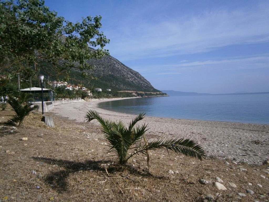 Petros Studios Poros  Eksteriør bilde
